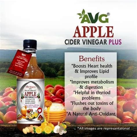 Health Vinegar Avg Apple Cider Vinegar With Ginger Garlic Lemon And Honey Manufacturer From