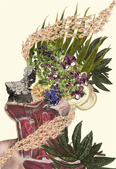 Anatomical Collages By Travis Bedel — Colossal Collage Art Botanical