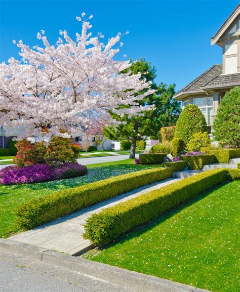 101 Front Yard Landscaping Ideas Photos Trees For Front Yard Front