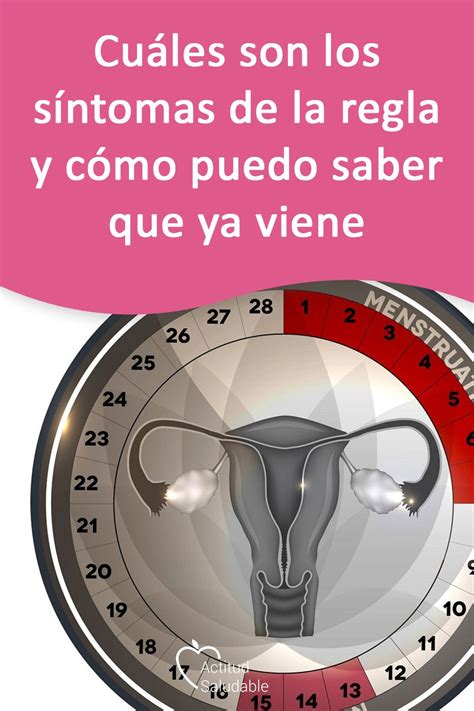 Cu Les Son Los S Ntomas De La Regla Y C Mo Puedo Saber Que Ya Viene Sintomas De Menstruacion