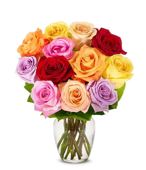 Подписчиков, 191 подписок, 1 783 публикаций — посмотрите в instagram фото и видео 1800flowers (@1800flowers). One Dozen Birthday Rainbow Roses at From You Flowers