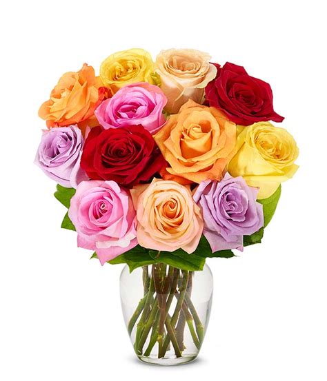 Choose roses, lilies, carnations, gerberas, orchids and more for birthday. One Dozen Birthday Rainbow Roses at From You Flowers