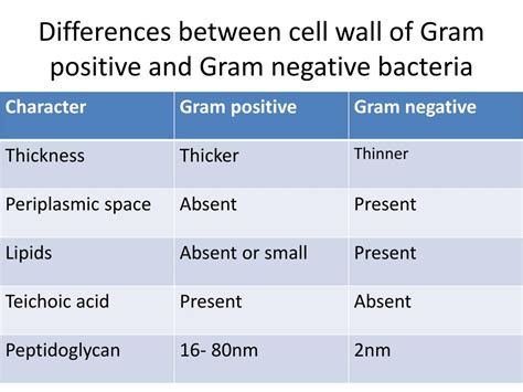 Gram Positive Vs Gram Negative Bacteria Chart Labb By