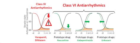Schematic Showing Targets Of Class Vi Antiarrhythmic Drug Action Download Scientific Diagram