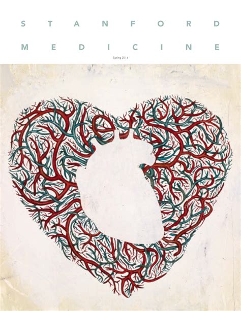 Mysteries Of The Heart Stanford Medicine Magazine Answers