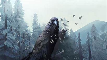 Dark Murder Crows Harvester Happy Wallpapers Artwork