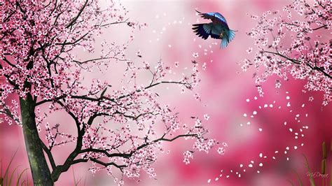 Beautiful Anime Cherry Blossom Tree Wallpaper