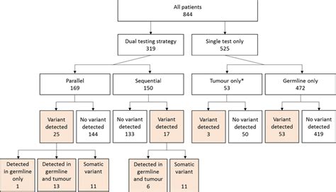 Flow Diagram Detailing The Number Of Patients According To Testing Download Scientific Diagram