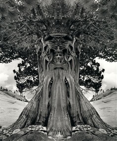 Uelsmann Jerry Uelsmann Surrealism Photography Tree Art