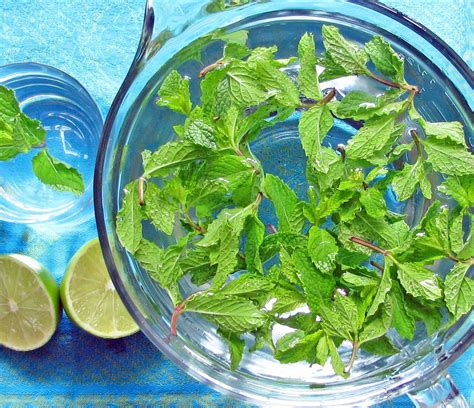 To Get The Mint Flavour Going In Your Water Add Fresh Mint Leaves And Then Crush Them This
