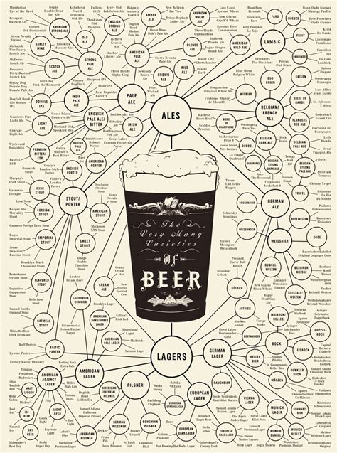 Infographic Of The Day Your Complete Guide To Beer