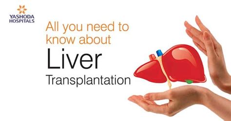 Liver Transplant Hospital In Hyderabad India All You Need To Know