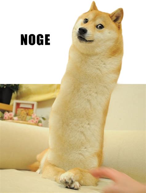 Image 734194 Doge Know Your Meme
