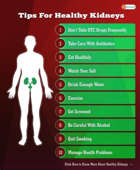 How To Get Healthy Kidneys