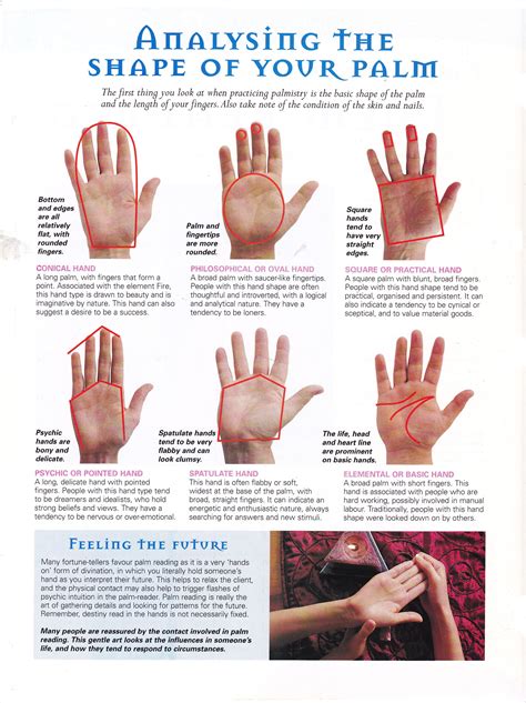 Analysing The Shape Of Your Palm Palm Reading Palmistry Reading