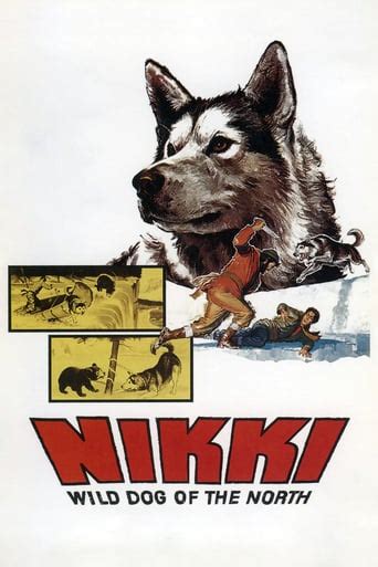 , sentimental, runaways, culture wild cactus is a 1924 moroccan opera business film based. Nikki, Wild Dog of the North (1961) on 123 Movies - Watch ...