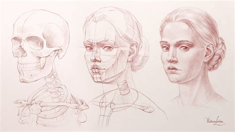 How To Draw Good Portraits Drawing Academy Drawing Academy