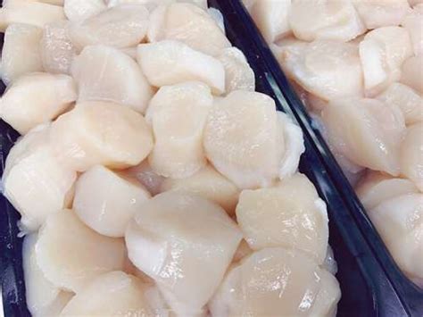 Hokkaido Raw Sea Scallops Valdez Market