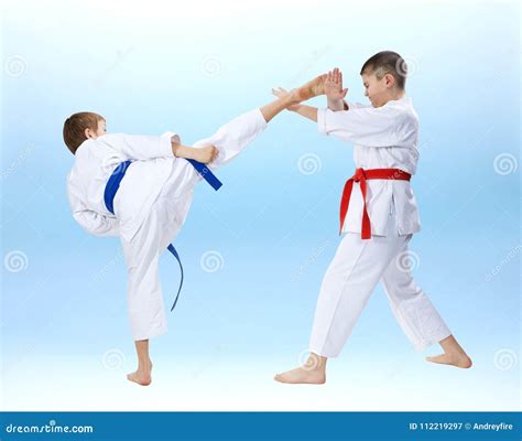 Dos Muchachos Son Sacadores Entrenados Y Bloquean Karate Imagen De