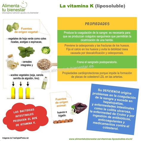 Vitaminas Liposolubles D E Y K Propiedades Y Fuentes Alimentarias