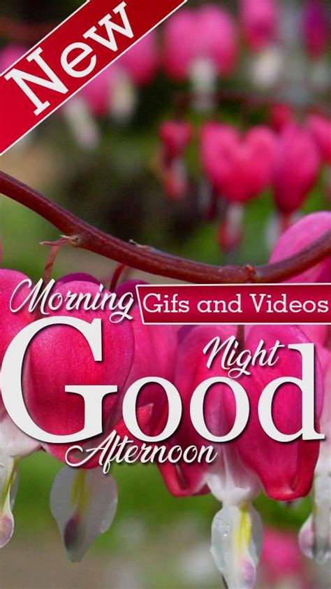 Good Morning Afternoon Night Apk For Android Download