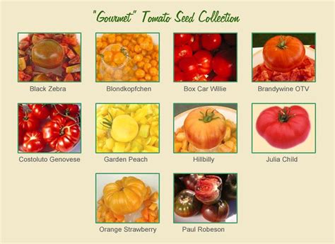 Gourmet Tomato Seed Collection Tomatofest Organic Tomato Seeds
