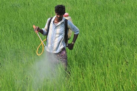 But who is responsible for managing pest control? Draft Bill faces criticism for making farm workers ...
