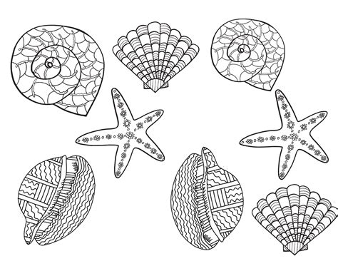 SHELLS - Free Printable Coloring Page — Stevie Doodles