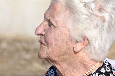 Old Woman Profile Portrait Stock Photography Image 11831002