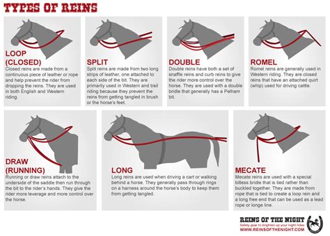 Types Of Reins Horse Facts Horse Riding Tips Horse Lessons