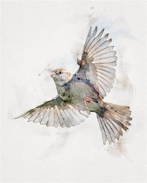 A Watercolor Painting Of A Bird Flying In The Sky