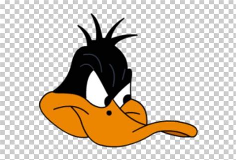 Daffy Duck Donald Duck Daisy Duck Looney Tunes Png Angry Animated