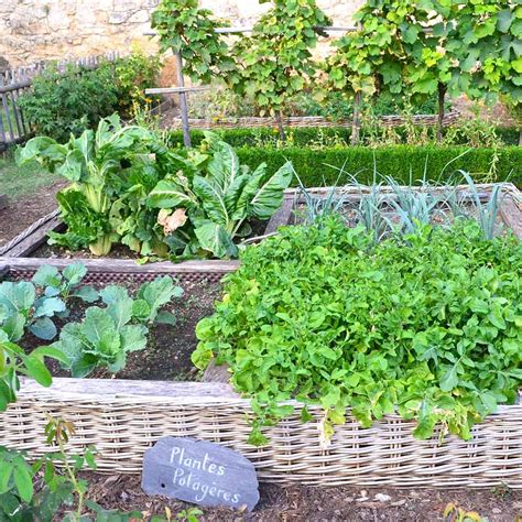 Comment Démarrer Un Potager En Permaculture Jardins Animés