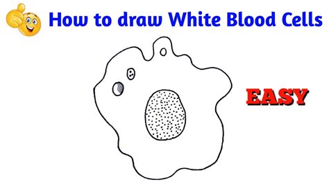 How To Draw Wbc Cells How To Draw White Blood Cell Easy Youtube