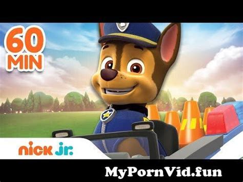 Paw Patrol Chase Is On The Case Rescues Wskye Marshall Minute