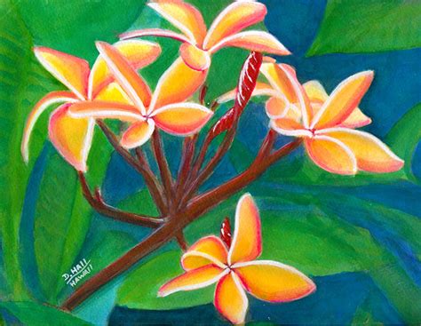 Plumeria Frangipani Flowers Original Water Color Painting By Hawaii