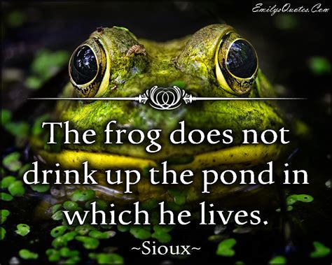The Frog Does Not Drink Up The Pond In Which He Lives Popular