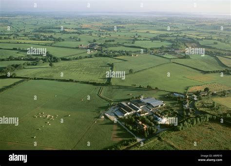 Aerial View Of Ancient Field Systems In North Dorset Showing Hedges