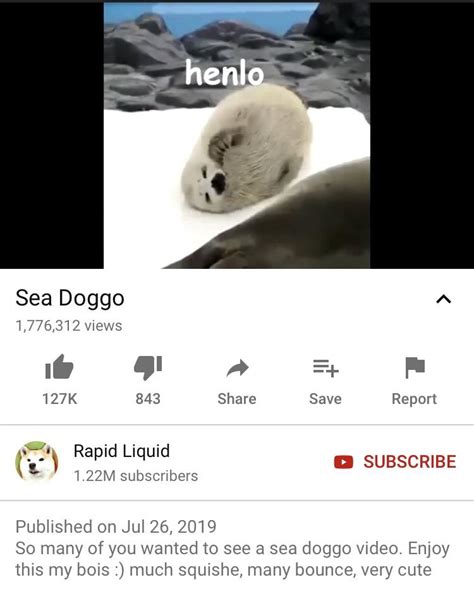 Sea Doggo Rdoggohate