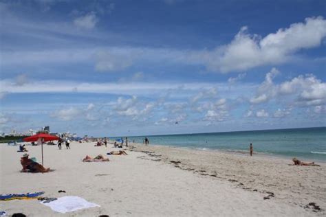 All In One Experience Miami Beach 2022 Alles Wat U Moet Weten Voordat Je Gaat Tripadvisor