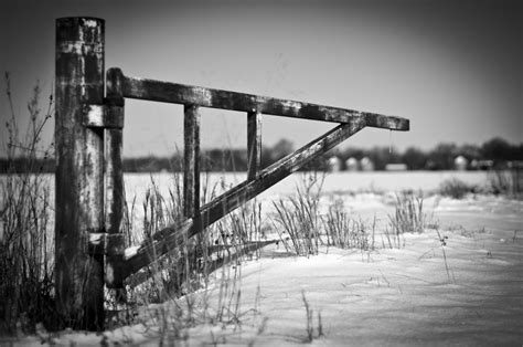Free Images Tree Outdoor Snow Cold Winter Fence Black And White