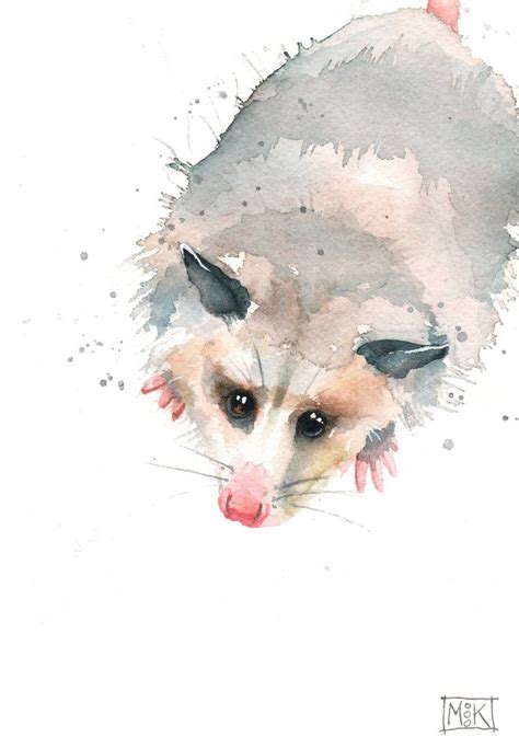 Opossum Watercolor Art Print Cute Possum Art Opossum Giclee Etsy