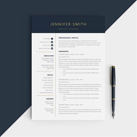 Paper Party Supplies Professional Resume Template Modern Resume One