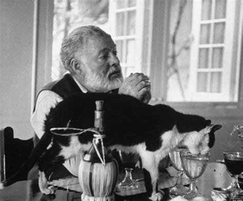 Cats were one of ernest hemingway's favorite animals. Literary Pets: The Cats, Dogs, and Birds Famous Authors Loved