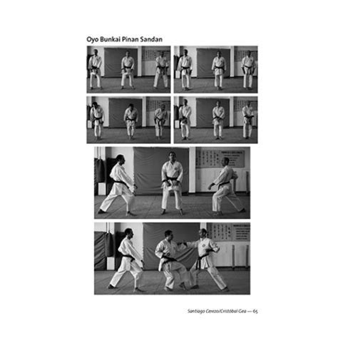 Shito Ryu Karate Do Introducción Vol 1