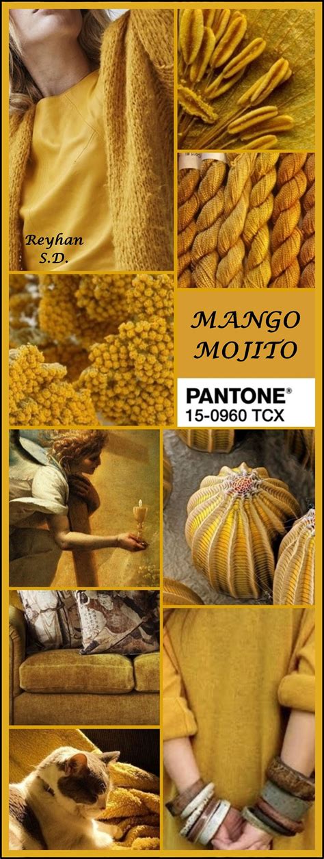 Mango Mojito Pantone Spring Summer 2019 Color By Reyhan Sd
