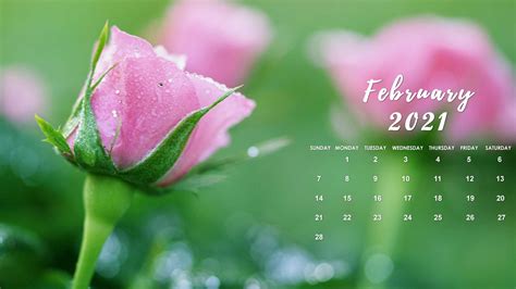 Desktop Wallpaper February 2021 Calendar Background You Can Delete