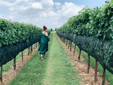 26 Ways To Experience Georgias Farms Vineyards Markets And More