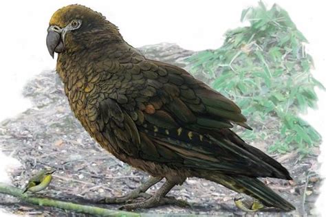 Gambar kayu bunga imut dekorasi hijau warna. Gambar Ilustrasi Hewan Burung Di Pohon - Gambar Burung