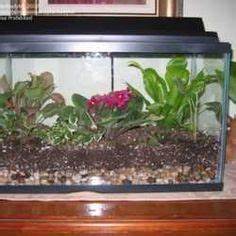 Turning a fish tank into a terrarium.. Wish me luck with this project 